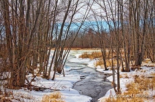 Winter Brook_05961.jpg - Photographed near Portland, Ontario, Canada.